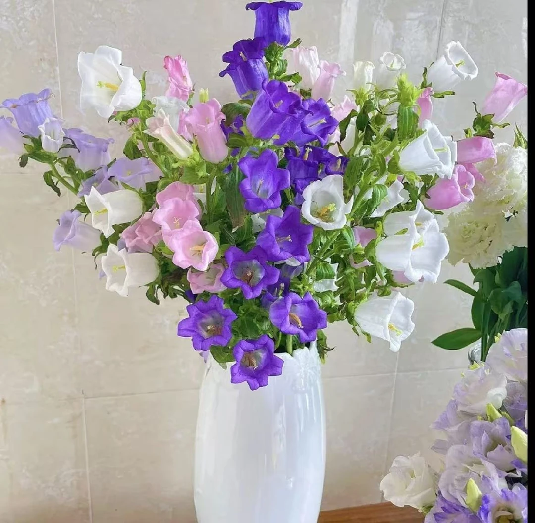 【新人浮力】【风铃】春日限定客厅养护高质感高级氛围感鲜花
