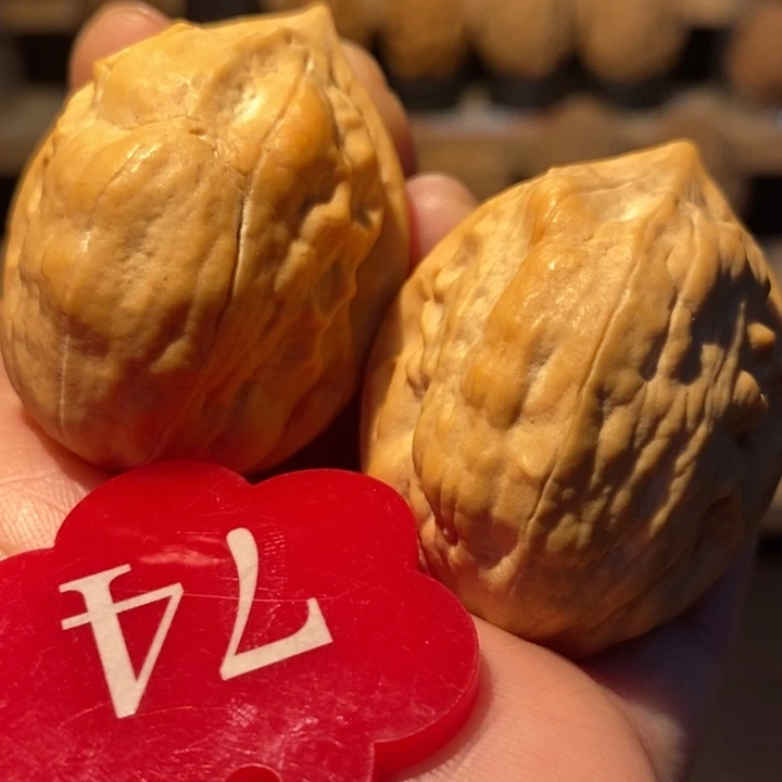 木质类马头琴37尺寸