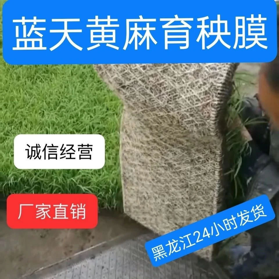 蓝天黄麻育秧膜水稻秧盘育苗纸提前插秧补苗水稻育苗麻秧膜一次性