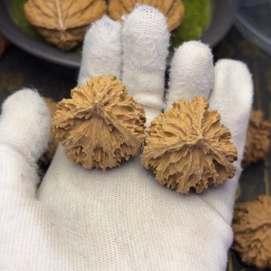 班***长文玩核桃把件秦岭核桃6