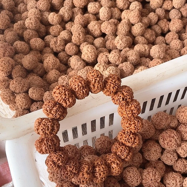 金刚菩提手串金刚菩提 黄金顶