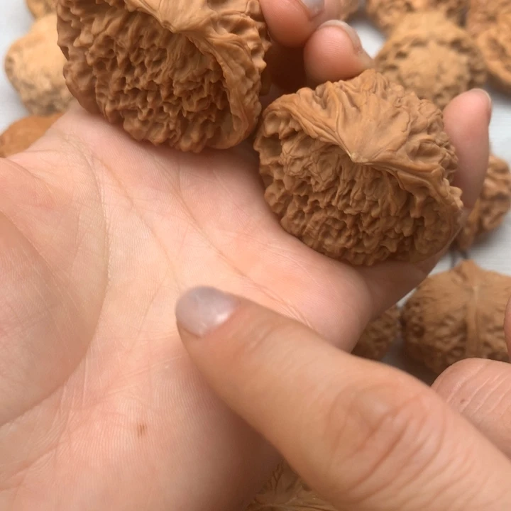 文玩核桃把件蛇头45