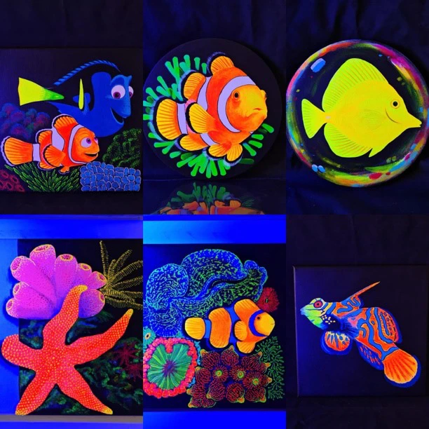 直播间专拍海水海缸