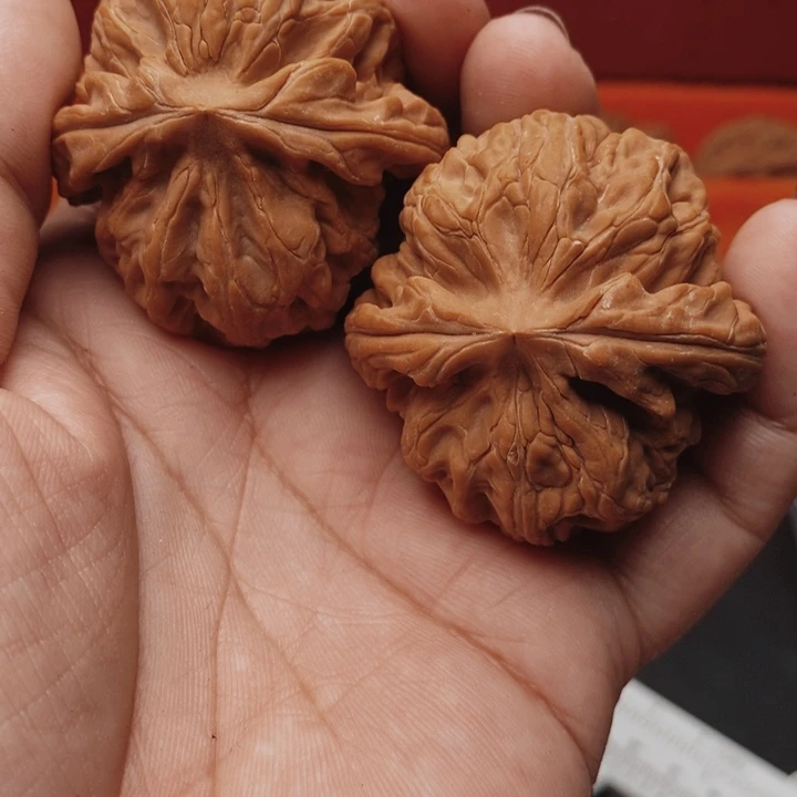 黑***地核桃红锦鲤45尺核桃