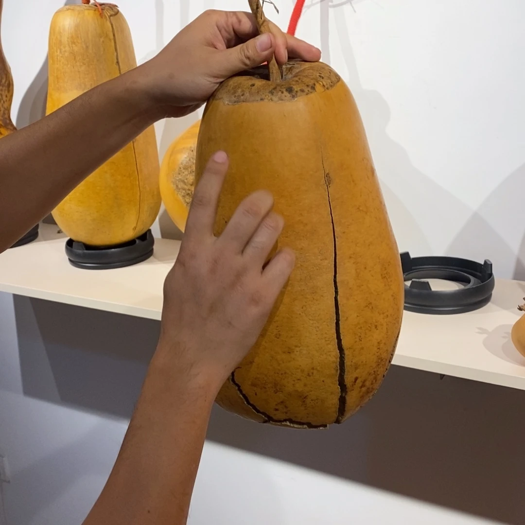 田*帥Aaaaaaaaaaaaaa