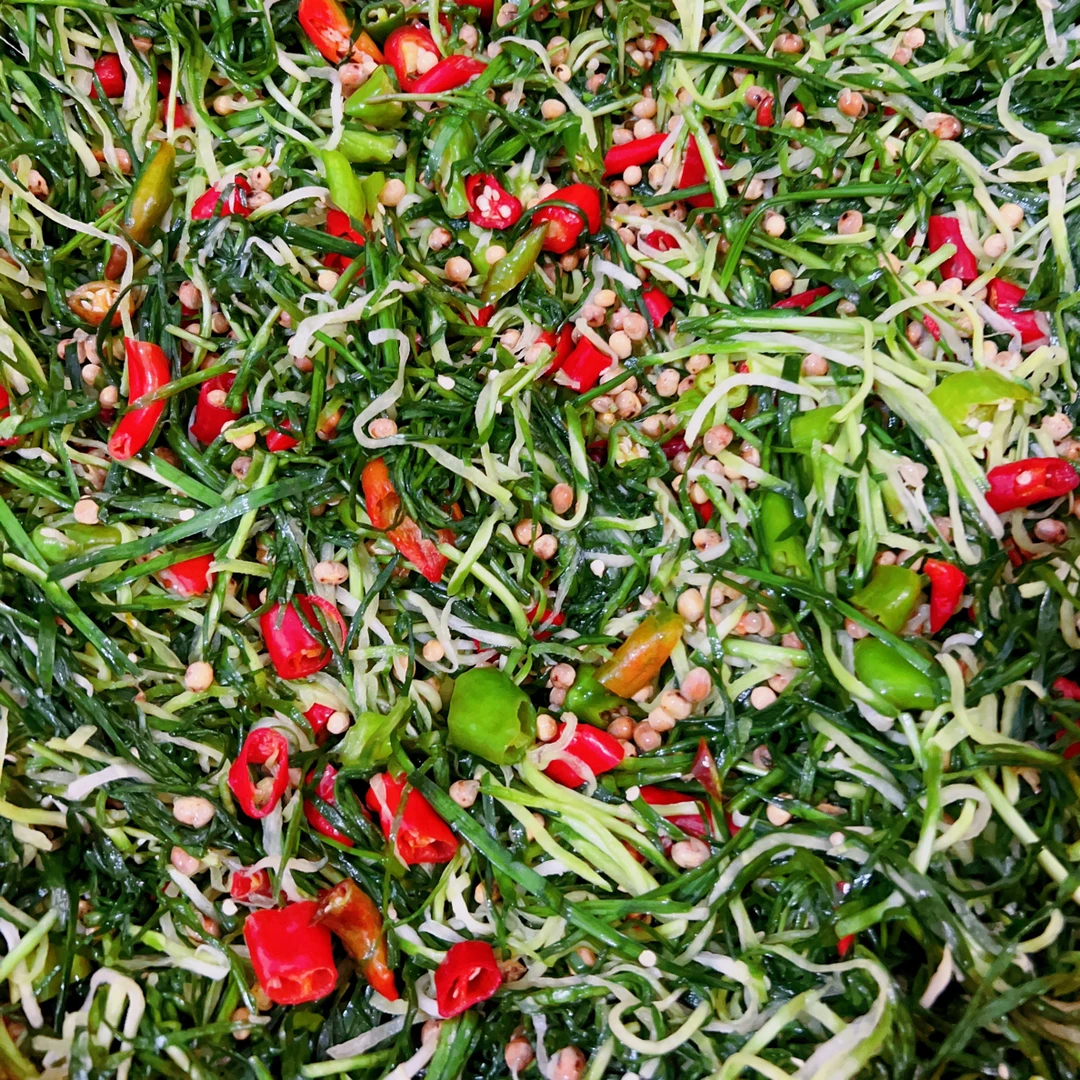 固始腌笨韭菜萝卜辣椒黄豆下饭