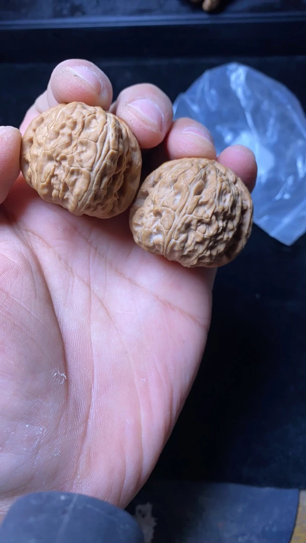 36尺白狮子全品无修