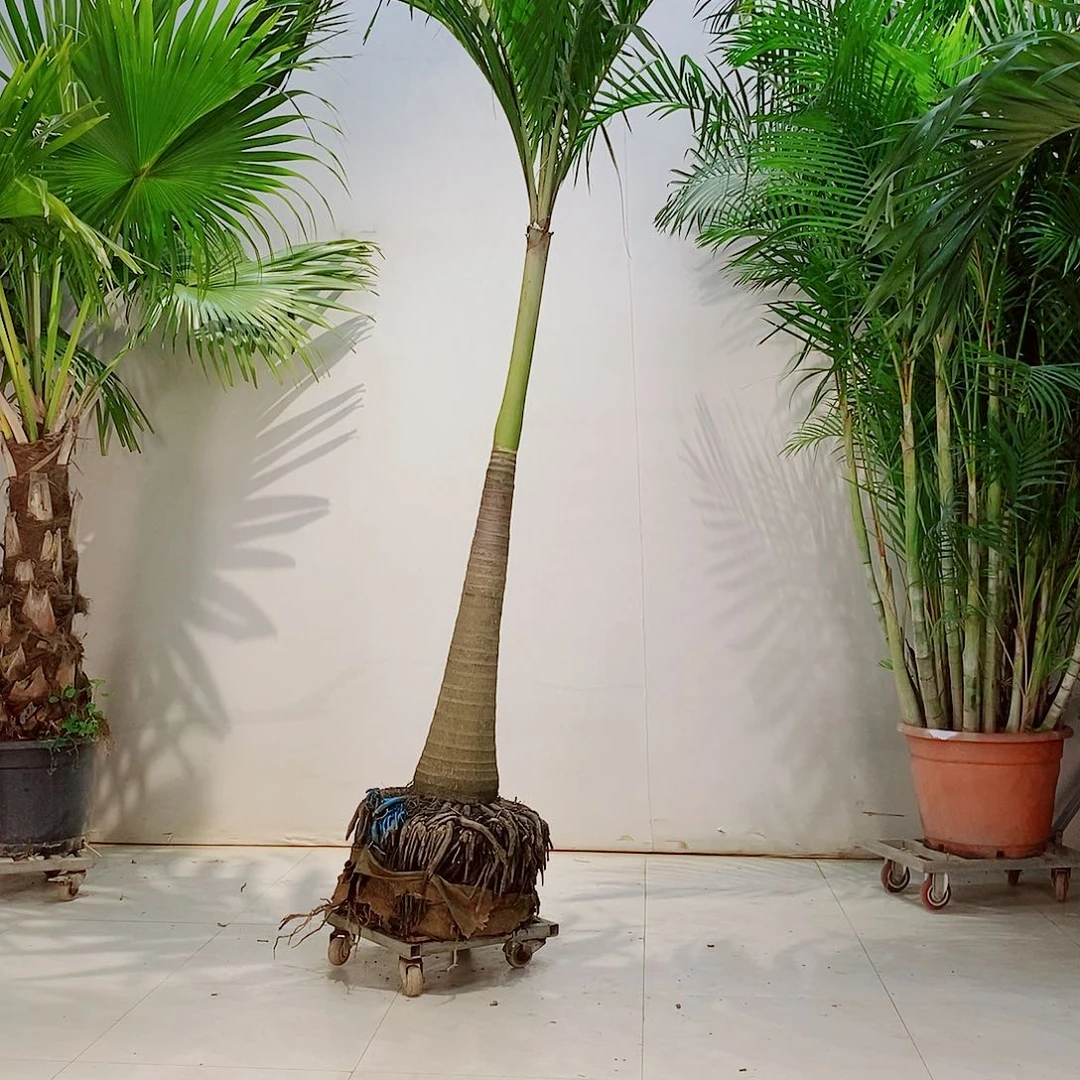 @***呗34466788999999990