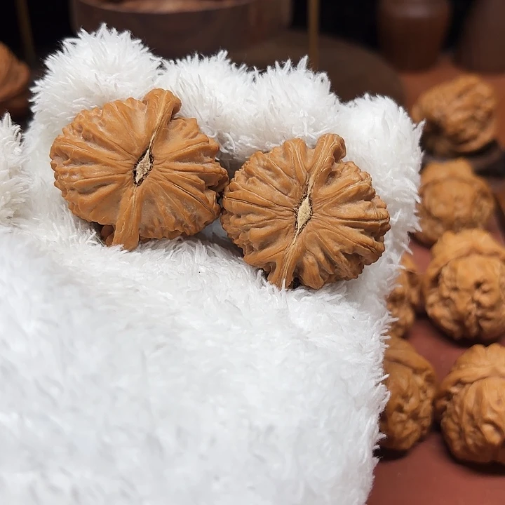 *****核桃手串/手链白狮子