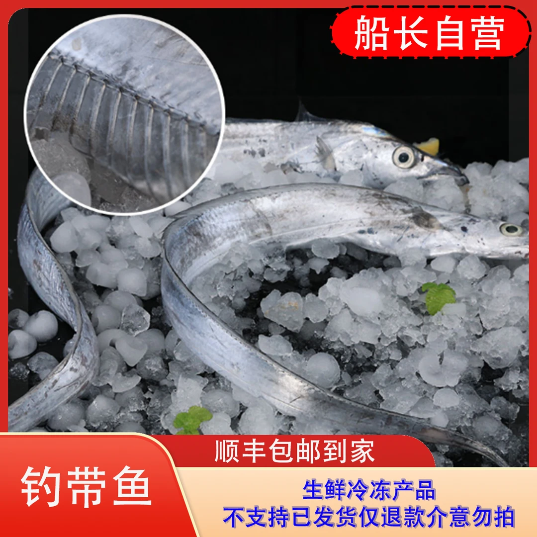 【船长生鲜】钓带鱼整条新鲜冷冻6两到1斤/条到手5斤共6条左右