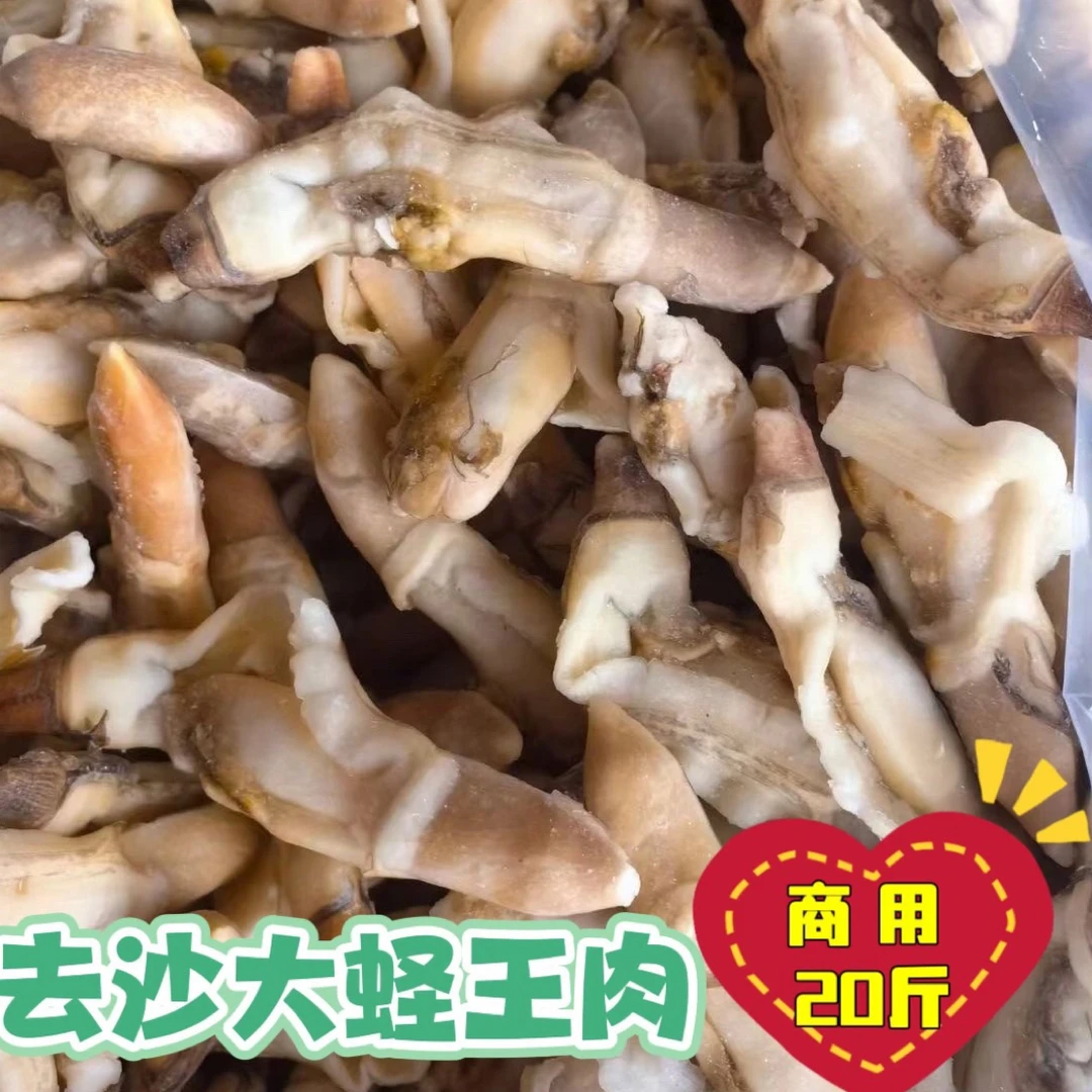 新鲜大个竹节蛏蛏王肉去壳去沙囊无沙带黄商用冷冻爆炒捞汁挂冰