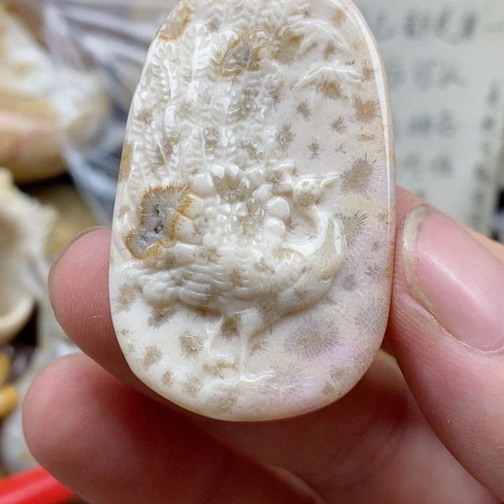 硅化珊瑚（珊瑚玉）未镶嵌颈饰有瑕 小吊坠