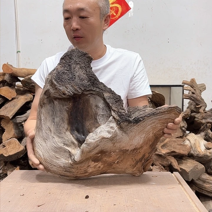 柏木柏*我们的生活也是如此的丰富