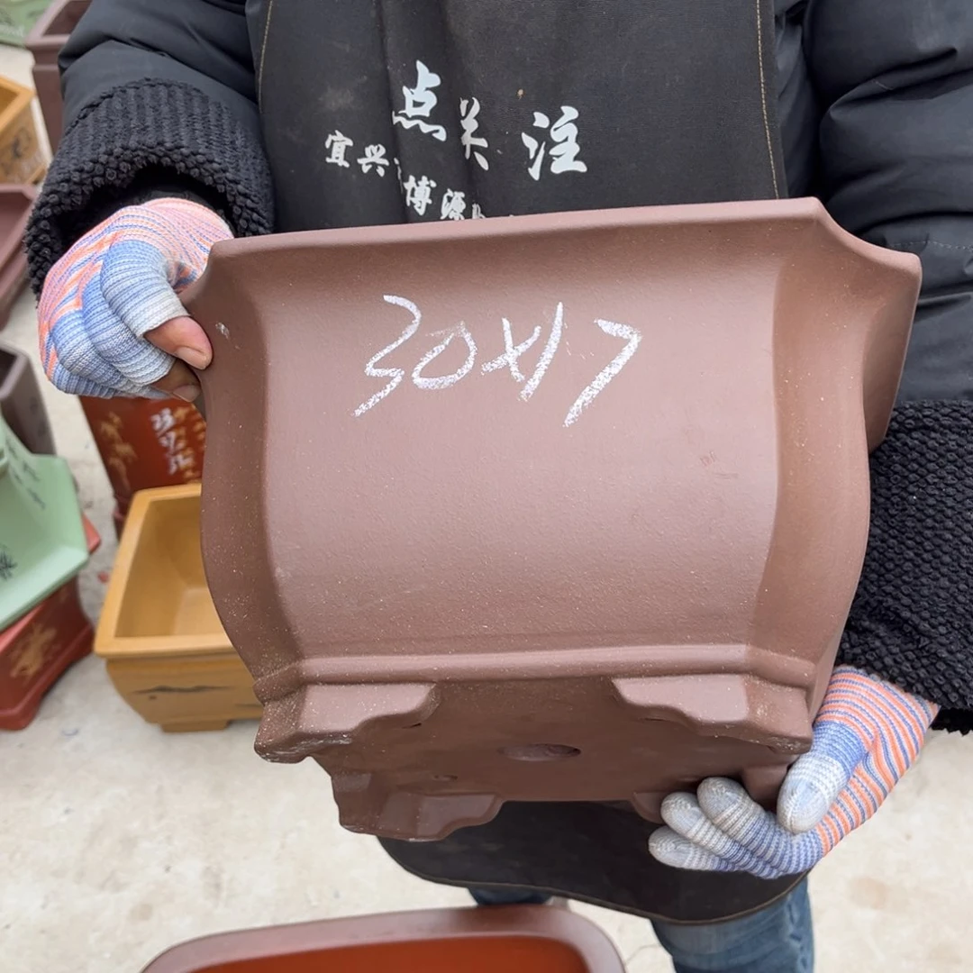 紫砂花盆盆景艺术