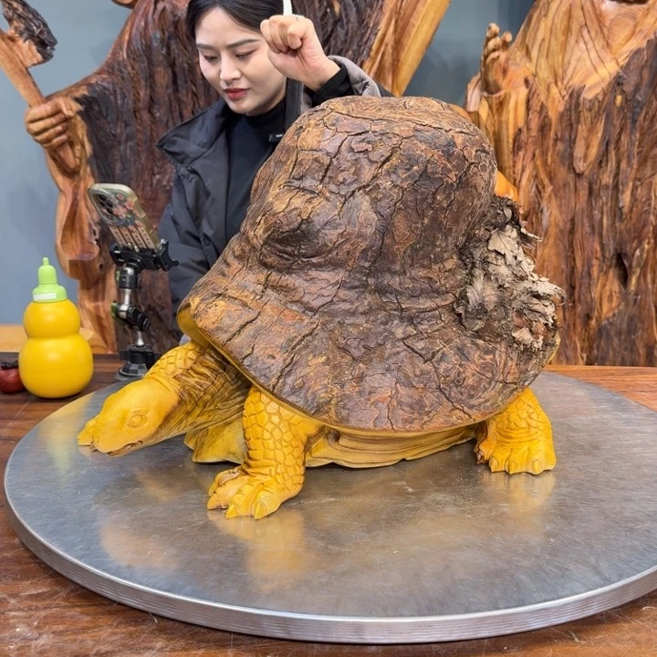 赛***鸽香樟木长888888888888888