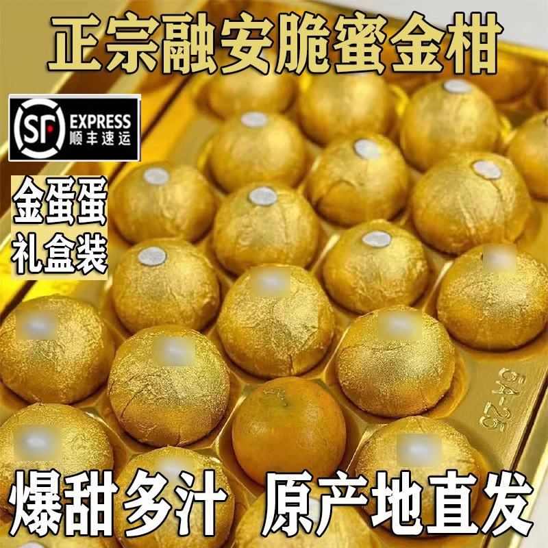 【金蛋蛋礼盒装】正宗融安脆蜜金柑新鲜皮薄肉厚爆甜多汁原产地直发