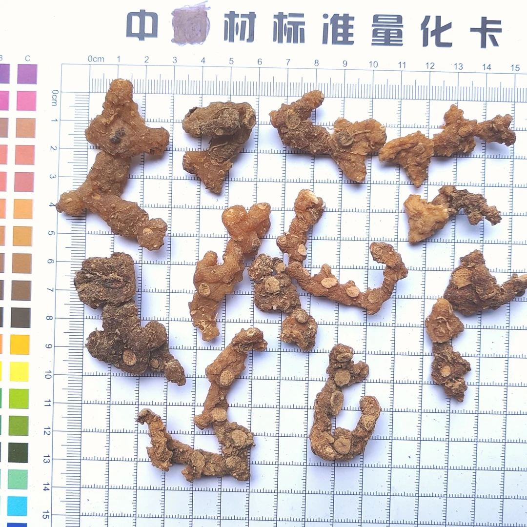 山货珠子黄坚、珠儿参、天生个头小、骨节天眼明显可与枣煲汤250g