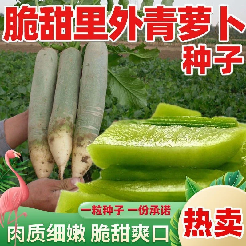 【全店满5包包邮】四季水果萝卜种子 生吃脆甜