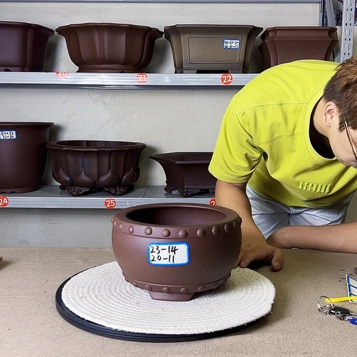 紫砂花盆哈哈哈哈哈