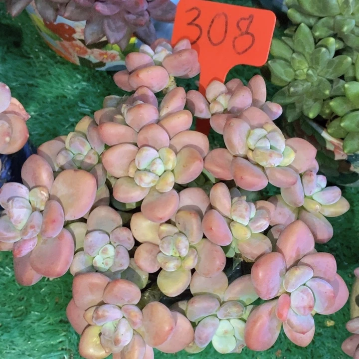 这些东西你就可以