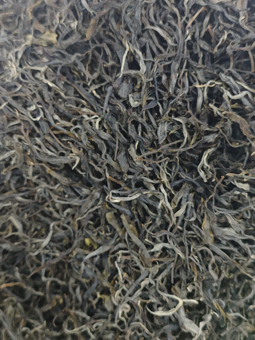 【茶农直供】 2025年帕沙国有林古树 普洱茶  生茶  散茶  头春古树