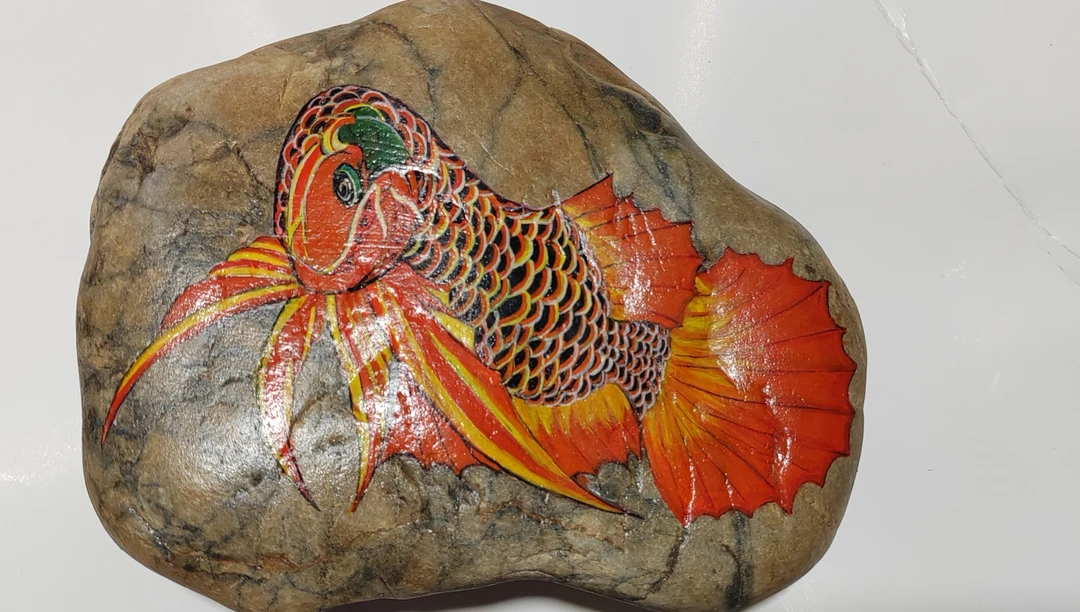 红龙鱼  龙鱼有灵，石来运转，万事如意。