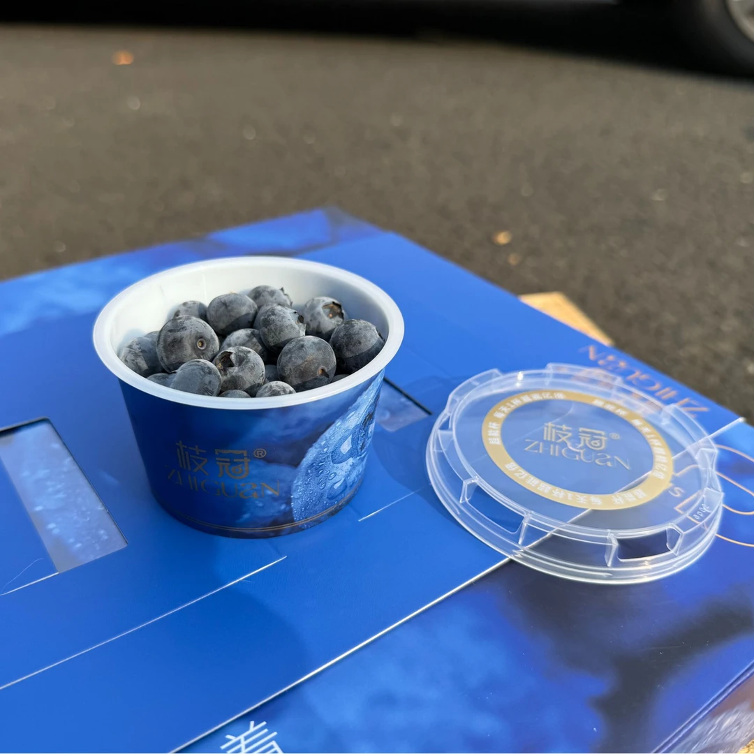 【枝冠原箱】超能杯脆甜花香蓝莓 100g/盒