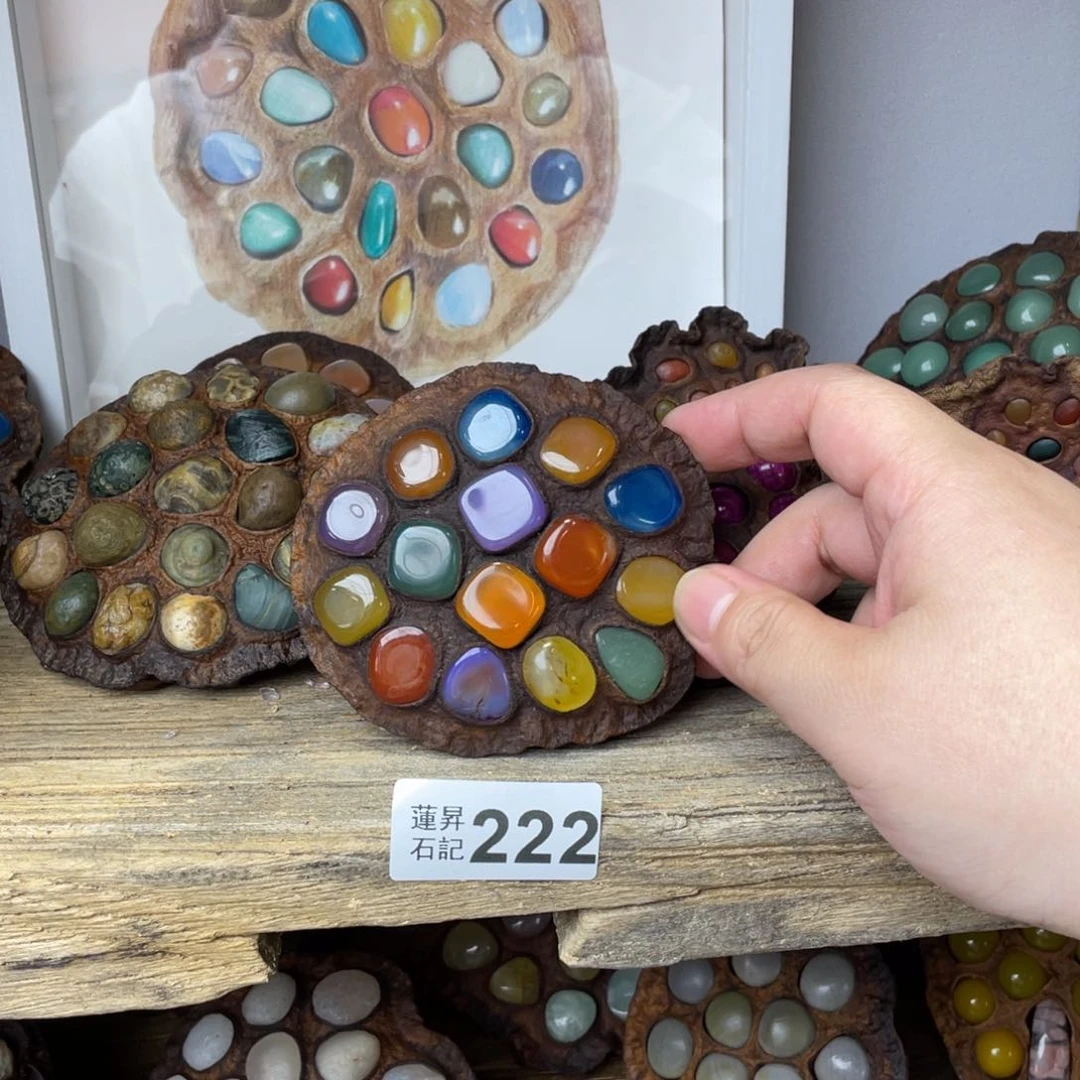 核桃木/黑胡桃（胡桃木）222