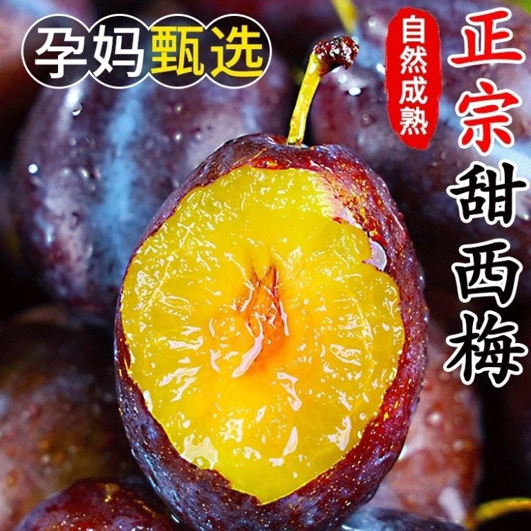 顺丰带箱3斤树上熟西梅新鲜饱满多汁酸甜脆爽的西北西梅当季水果