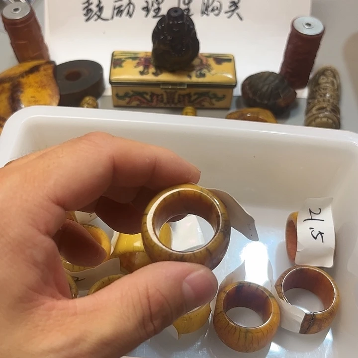 大果紫檀（缅甸花梨）