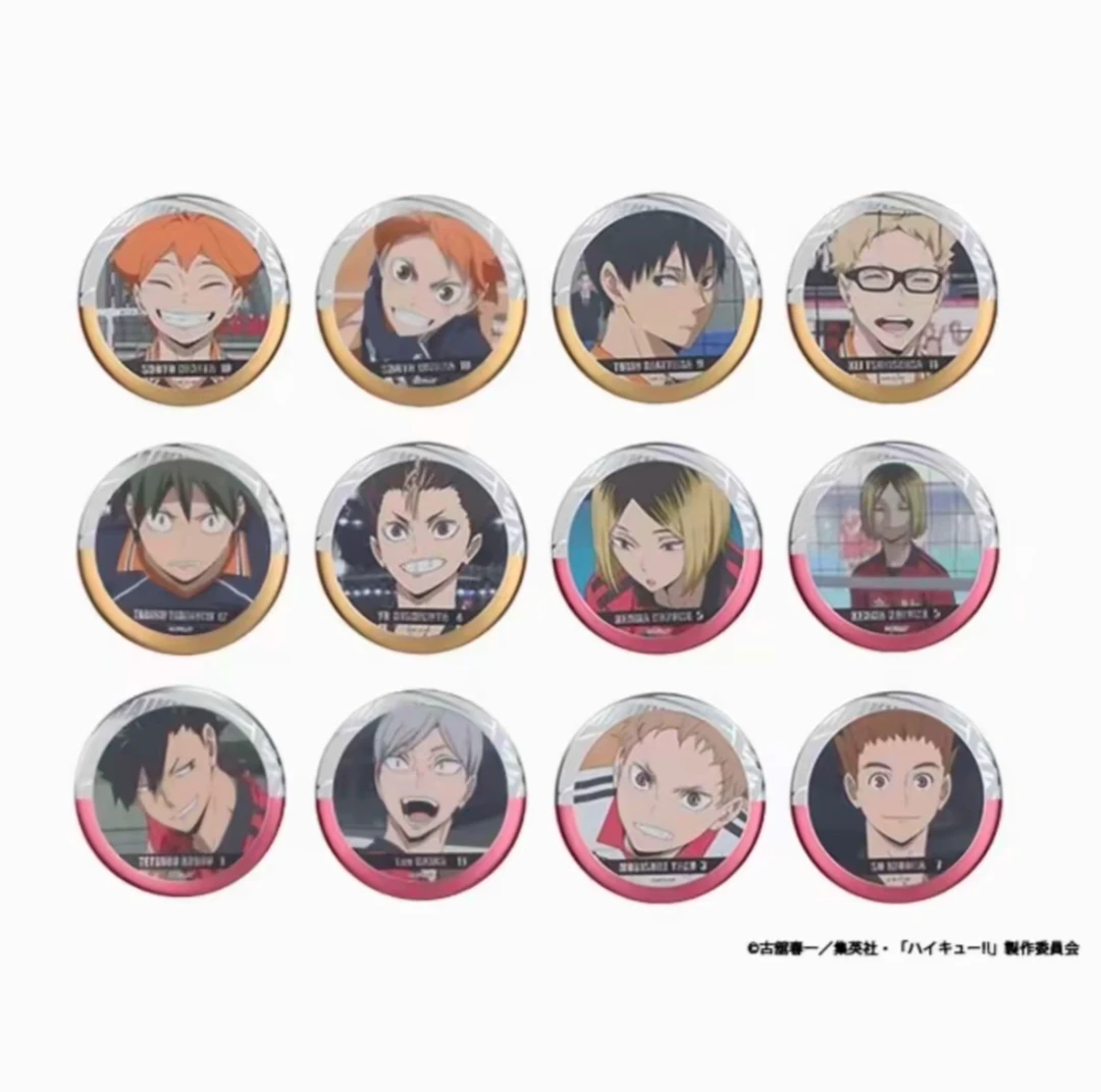 【排球少年】2025年合同会 浮雕吧唧徽章 盲盒 未成年禁止下单