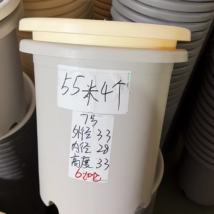 微瑕7#灰白6个无托