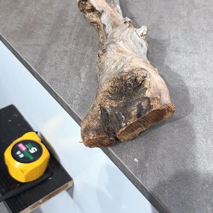 啊***丢柏木崖柏等自然景区和