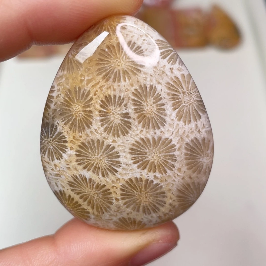 【闪购商品】未镶嵌吊坠(赠链)硅化玉