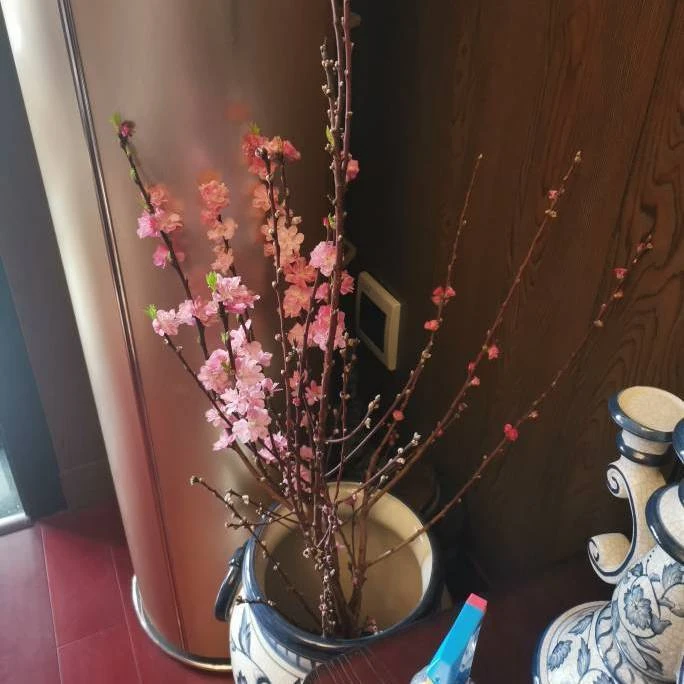 桃花鲜切枝新鲜采摘带花苞水养开花办公室内客厅家用插花基地直发
