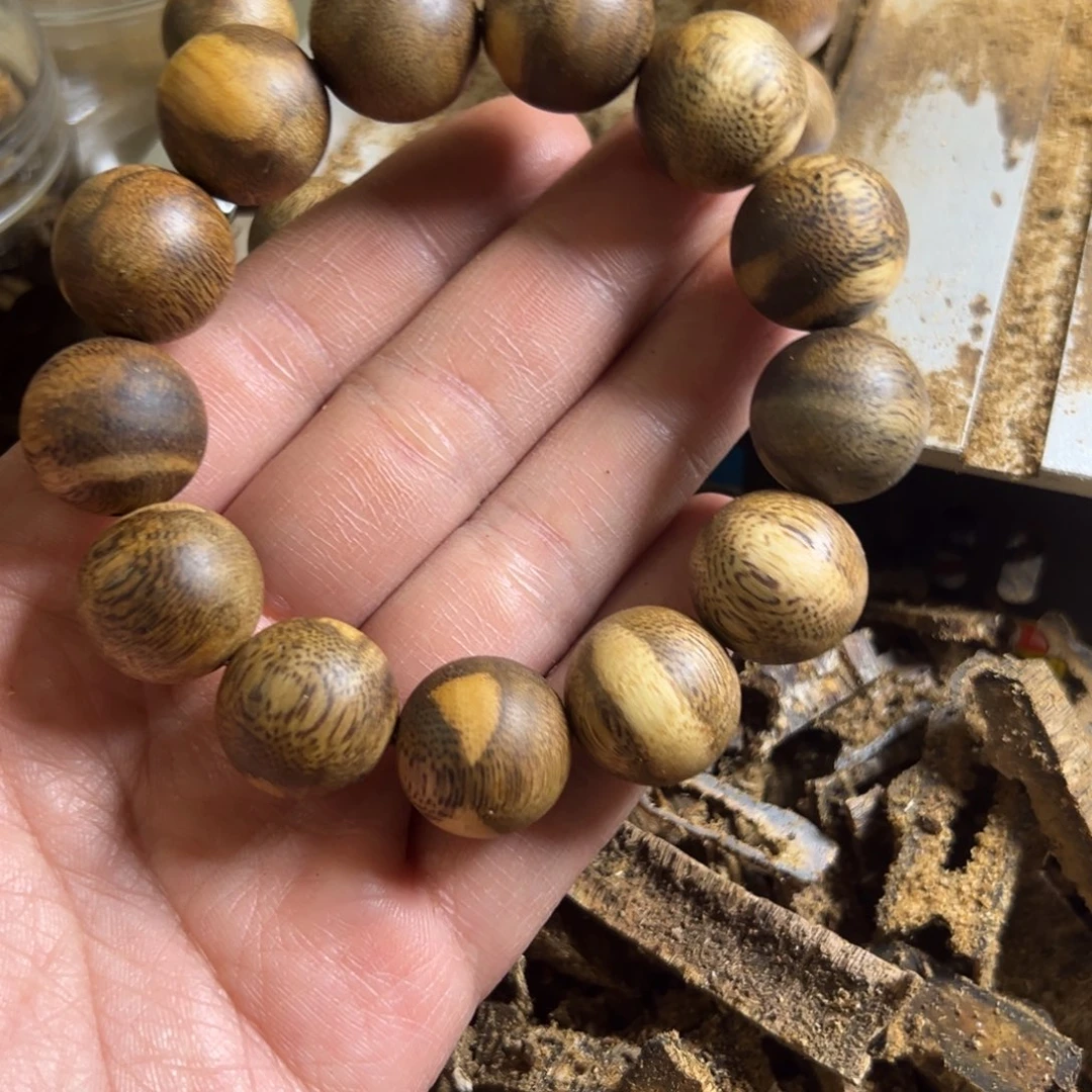 阳****高油脂乌身圆叶品种卡1.9单圈