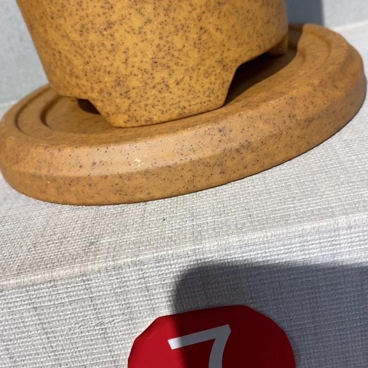 紫砂花盆狒*福利来啦