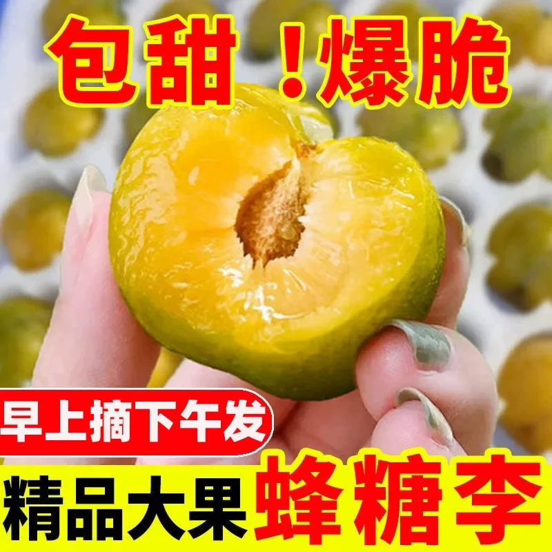 【顺丰京东空运】贵州镇宁正宗六马蜂糖李现摘现发新鲜正宗油蟠桃