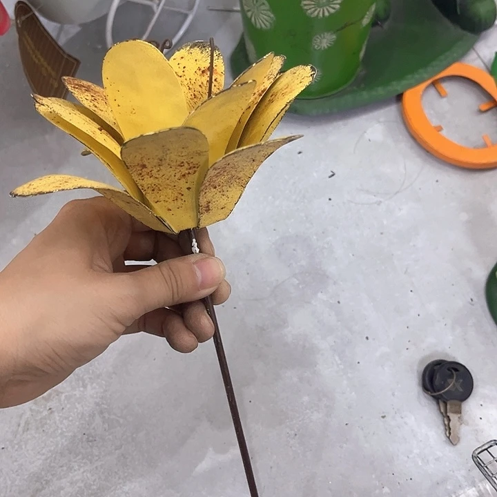 孤品给力哈哈哈哈