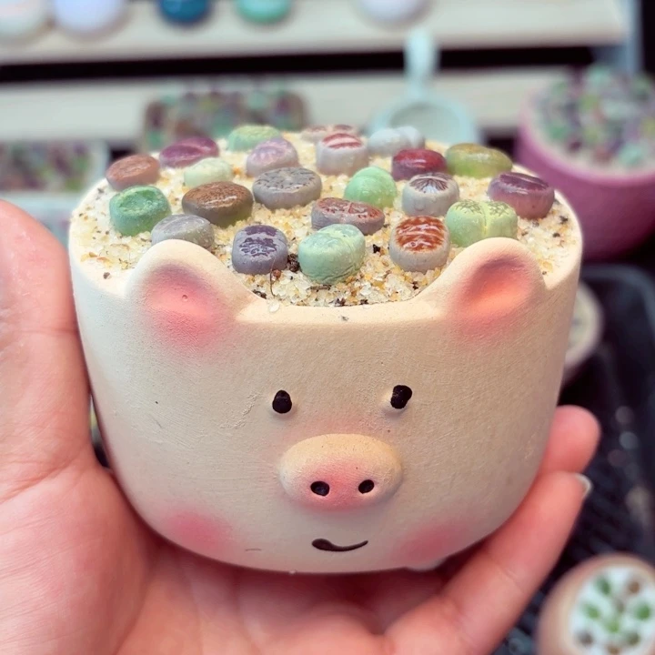 7002零下地区记得拍保温箱