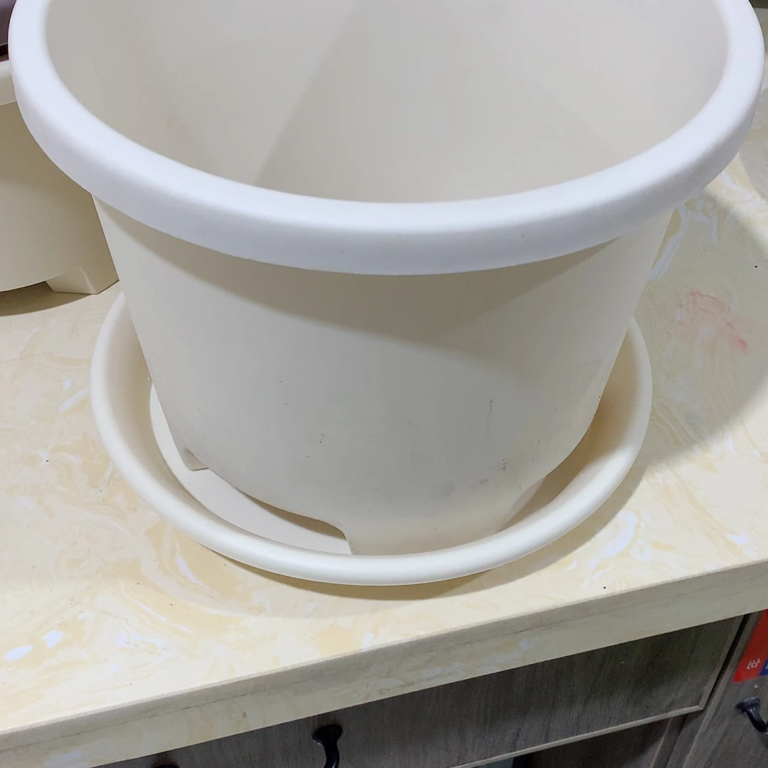 树脂球根口3米白3个带托