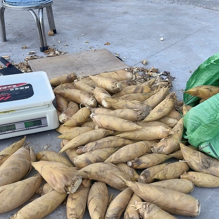 中国大陆5斤自己挑自己选