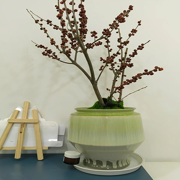 告别粗大毛孔，这款面霜让你的肌肤焕发自然光彩