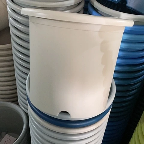 树脂特价6号7个无托灰白