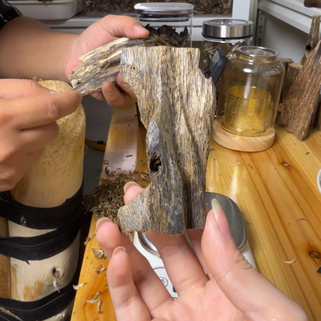 沉香白奇虫漏香23克