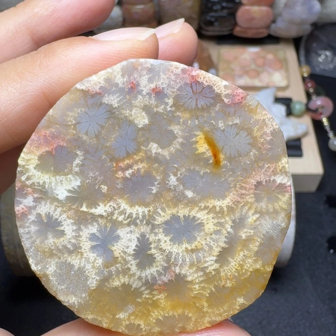 未镶嵌彩色蝴蝶花硅化玉