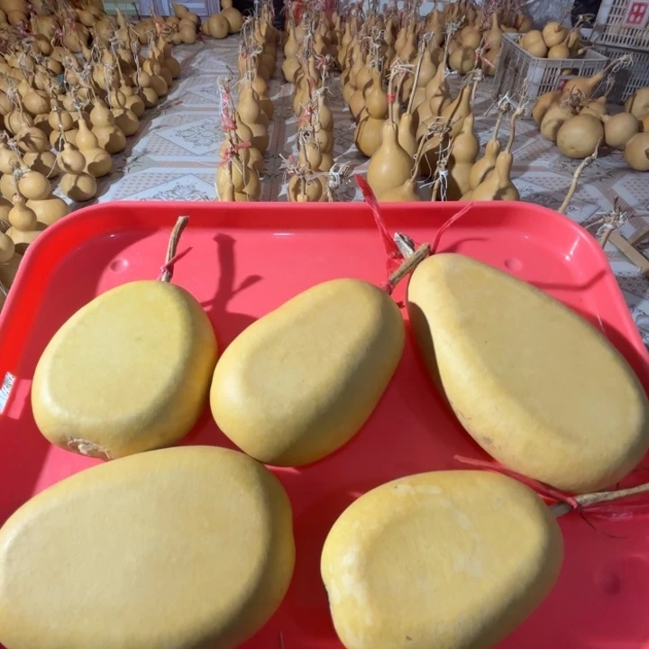 异***容大叶紫檀（黑酸枝木类）