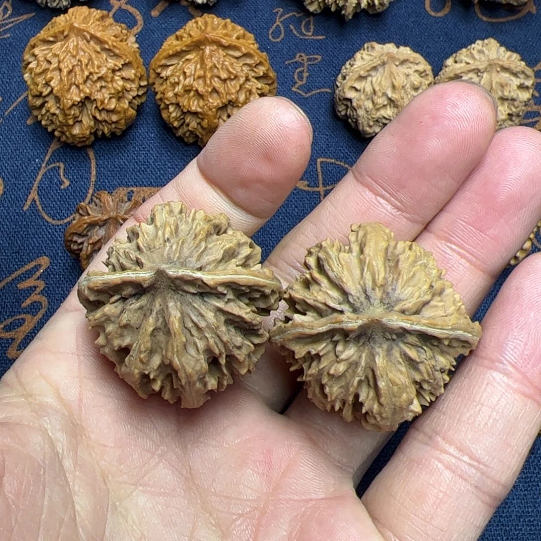 文玩核桃把件秦岭野生植物核桃