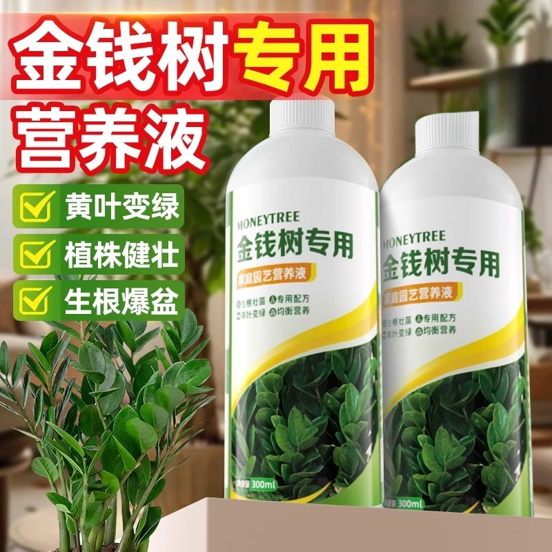 金钱树专用营养液防黄叶促生根幸福树室内花卉绿植盆栽通用型肥料