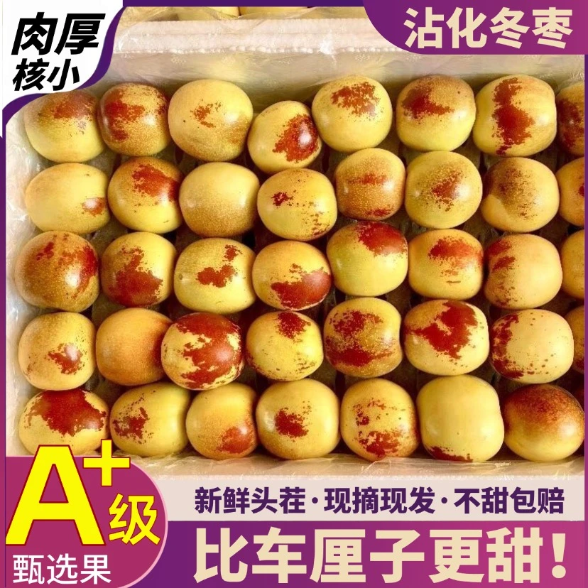 【5斤特大果】山东沾化冬枣新鲜采摘现发核小肉厚3/5斤q